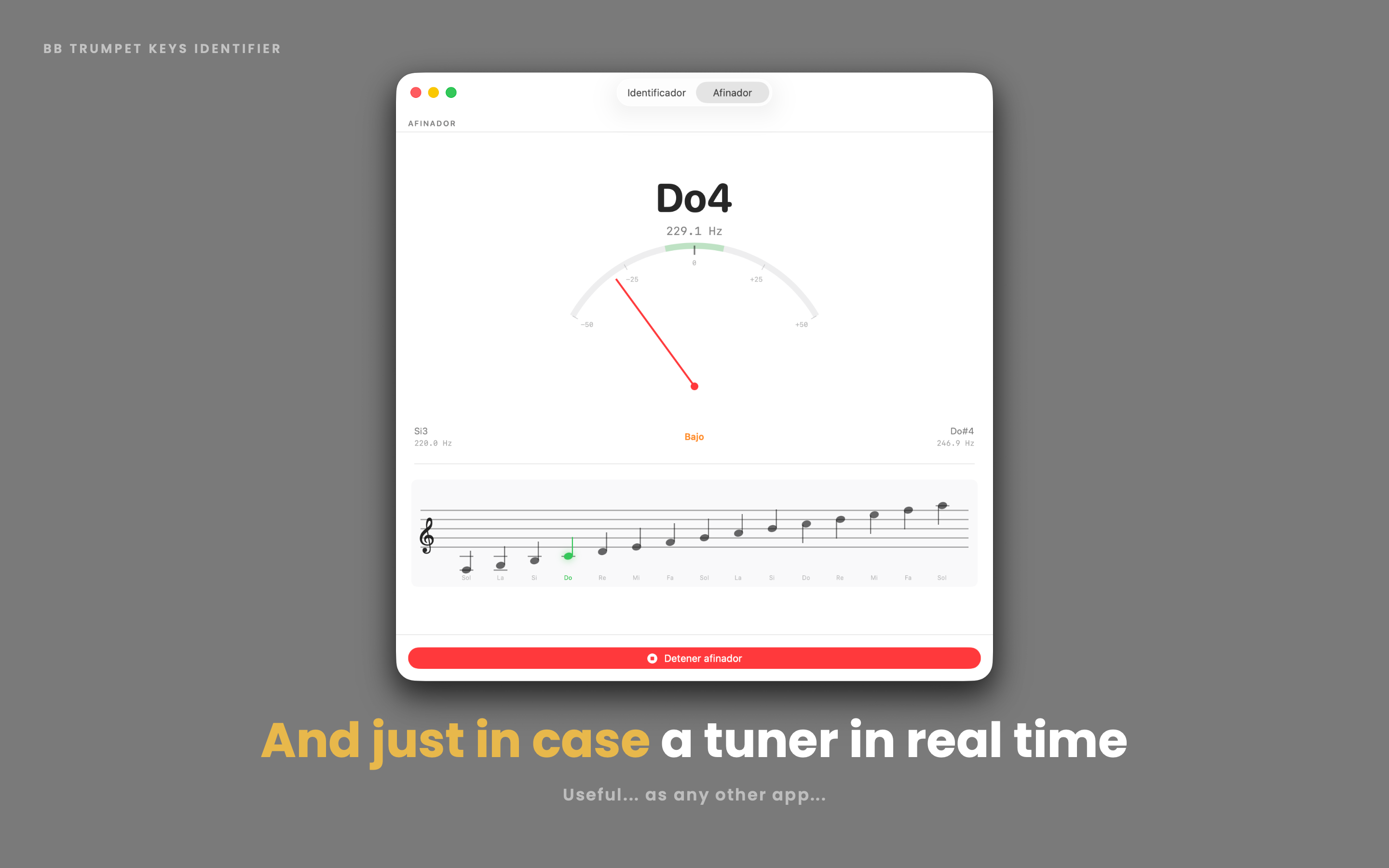 Real-time tuner with staff view
